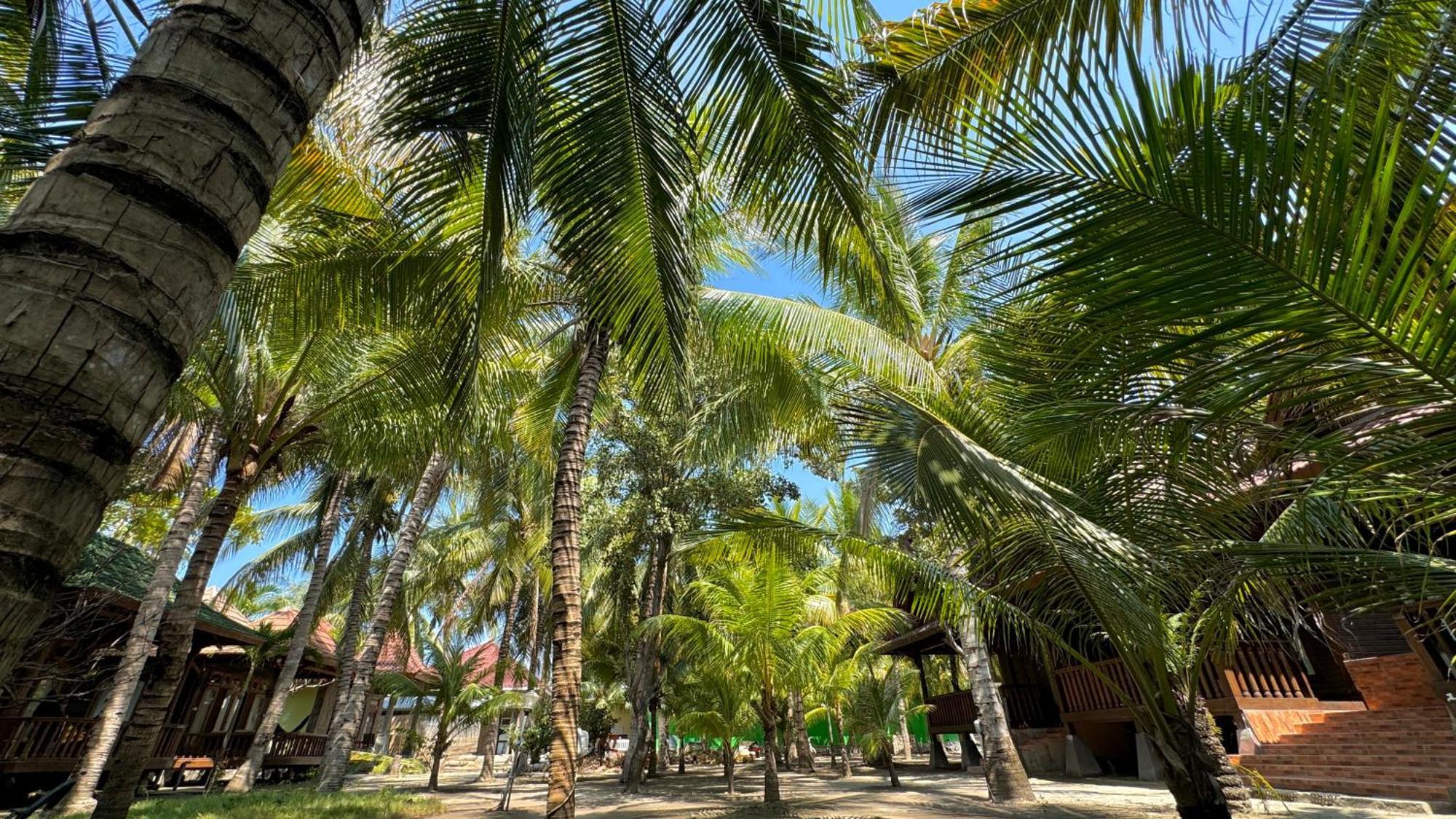 Bronze Bungalows Gili Meno Exterior foto